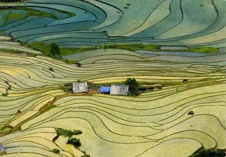 國家自然基金委