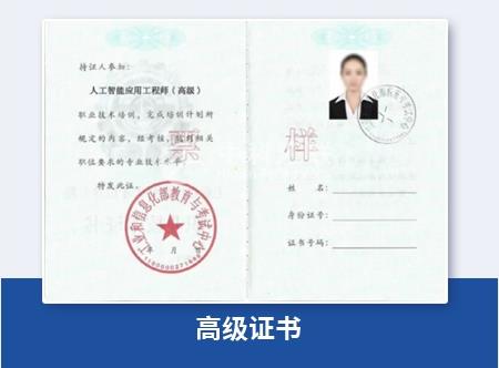 人工智能應用工程師(高級):