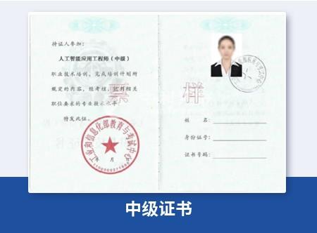 人工智能應用工程師(中級):